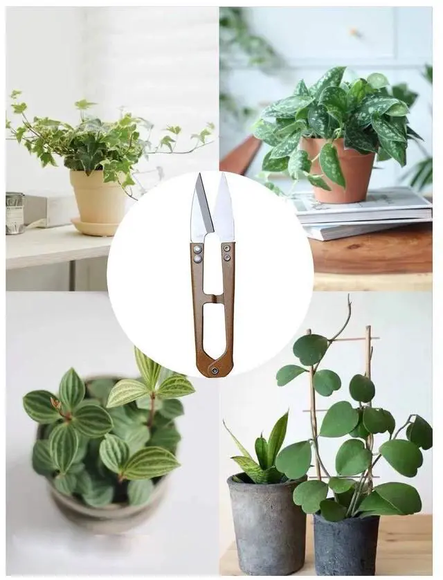 Alt view image 7 of 7 - 3 Pack 4.1Inch Bonsai Pruning Scissors, Bud And Leaves Trimmer Yarn Thread Cutter Snips Trimming Supplies, Garden Plants, Gardening Clippers Flower, Stainless Steel Pruners Trimmers