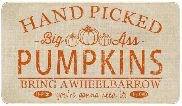 Main image of Fall Door Mat Outside,Hand Picked Pumpkin Welcome Mat for Front Door,Thanksgiving Autumn Indoor Outdoor Non-Slip Rugs,Fall Doormat for Farmhouse Home Porch Decorations 30" x 17"