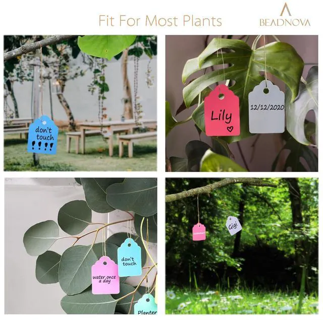 Alt view image 5 of 5 - BEADNOVA Plant Hanging Tags 100pcs Tags with String Reusable Plant Labels Markers Plastic Garden Signs Garden Markers for Outdoor (2 Inch, White)