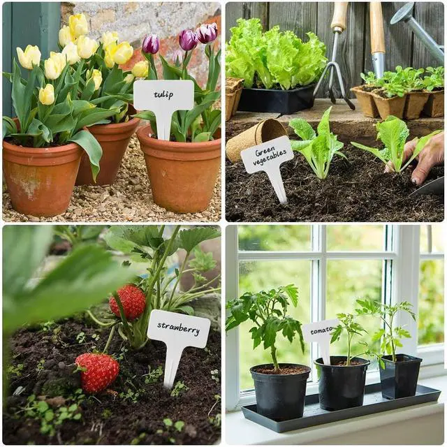 Alt view image 4 of 5 - DaTpuik 30 Pcs Waterproof Wihte Durable Plastic Plant Outdoor Garden Labels Nursery Markers T-Type Thick Tags Re-Usable for Vegetables Seedlings