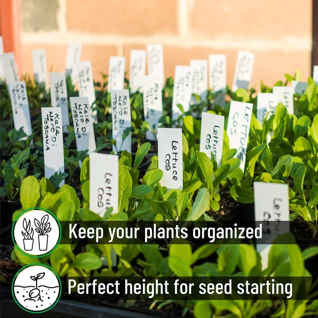 Alt view image 6 of 7 - Plastic Plant Labels, 100 Pcs, 4, White | Plant Markers and Labels for Outdoor Garden Waterproof, Plant Name Tags, Planting Sticks for Seeds