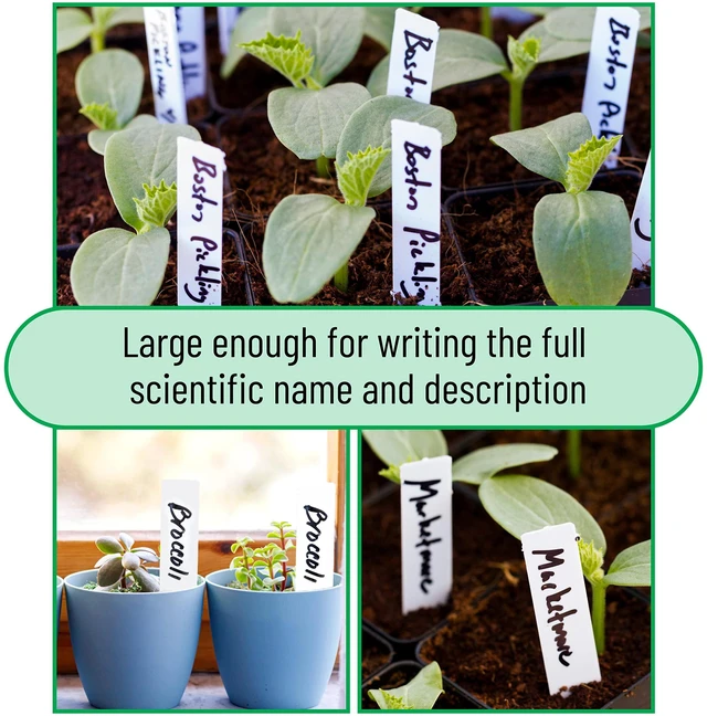 Alt view image 7 of 7 - Plastic Plant Labels, 100 Pcs, 4, White | Plant Markers and Labels for Outdoor Garden Waterproof, Plant Name Tags, Planting Sticks for Seeds