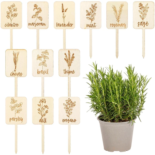 Main image of Tyqour 12PCS Garden Marker Plant Tags with Names Plant Labels for Outdoor Garden Waterproof Wooden Plant Markers for Seedlings Nursery Outdoor Indoor Garden Decoration
