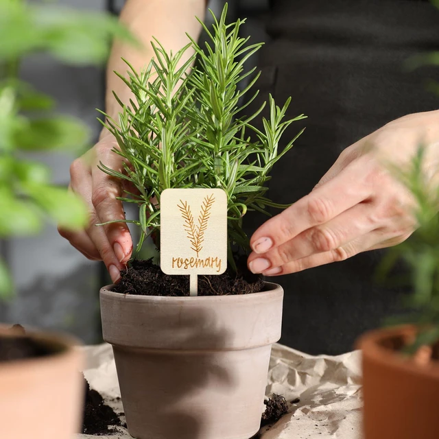 Alt view image 3 of 7 - Tyqour 12PCS Garden Marker Plant Tags with Names Plant Labels for Outdoor Garden Waterproof Wooden Plant Markers for Seedlings Nursery Outdoor Indoor Garden Decoration