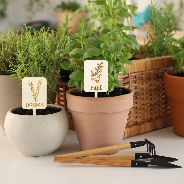 Alt view image 7 of 7 - Tyqour 12PCS Garden Marker Plant Tags with Names Plant Labels for Outdoor Garden Waterproof Wooden Plant Markers for Seedlings Nursery Outdoor Indoor Garden Decoration