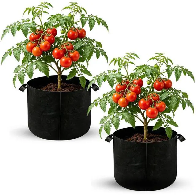 Main image of Plant Grow Bags 10 Gallon 2 Pcs, Fabric Pots & Planter Bags for Vegetables | Breathable Nonwoven Fabric, Reinforced Handles, 15.7x12 in, Black Planter for Tomato Potato Herbs, Indoor Outdoor Patio