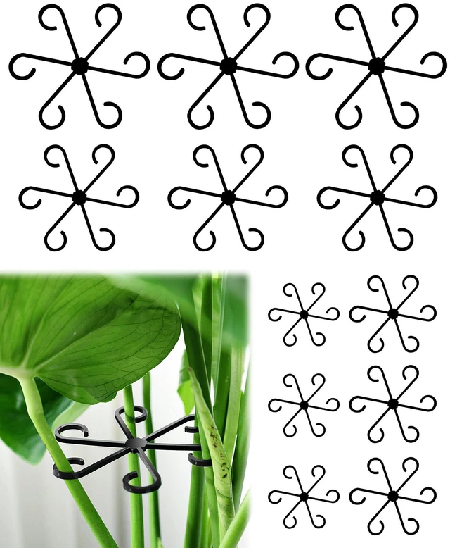 Main image of 12Pcs Plant Stem Support,4 Sizes Reusable Monstera Plant Support Stakes Durable Plastic Climbing Houseplant Stem Hook Holders for Flower Plants Indoor Outdoor Growth Accessories