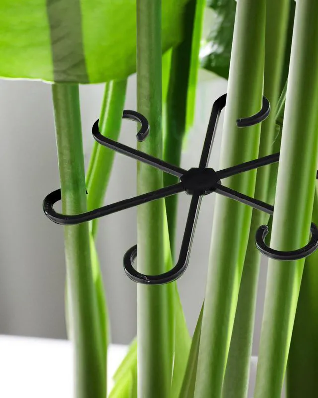Alt view image 2 of 7 - 12Pcs Plant Stem Support,4 Sizes Reusable Monstera Plant Support Stakes Durable Plastic Climbing Houseplant Stem Hook Holders for Flower Plants Indoor Outdoor Growth Accessories