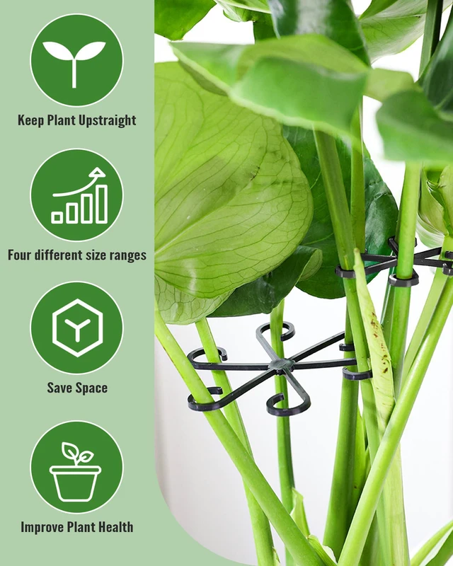 Alt view image 5 of 7 - 12Pcs Plant Stem Support,4 Sizes Reusable Monstera Plant Support Stakes Durable Plastic Climbing Houseplant Stem Hook Holders for Flower Plants Indoor Outdoor Growth Accessories