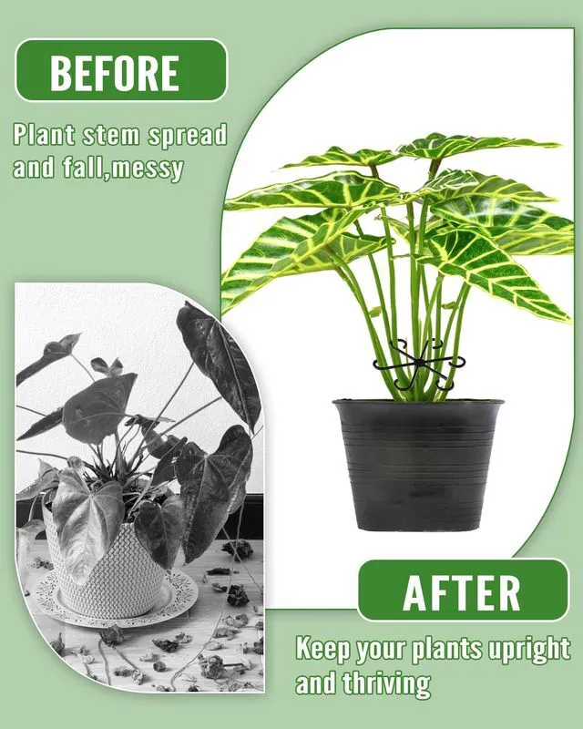 Alt view image 6 of 7 - 12Pcs Plant Stem Support,4 Sizes Reusable Monstera Plant Support Stakes Durable Plastic Climbing Houseplant Stem Hook Holders for Flower Plants Indoor Outdoor Growth Accessories