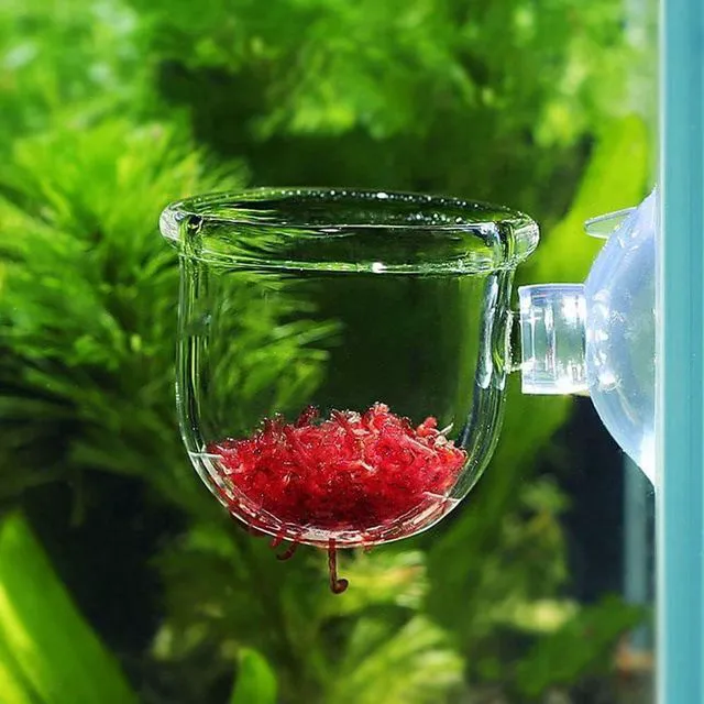 Alt view image 3 of 7 - 2Pcs Aquarium Plant Pot, Glass Fish Tank Plants Holder Aquarium Planter, Aquarium Decoration Plants Cup with Suction Cups for Fish Tank Ornament Aquarium Décor Plastic Plants, Small, Transparent