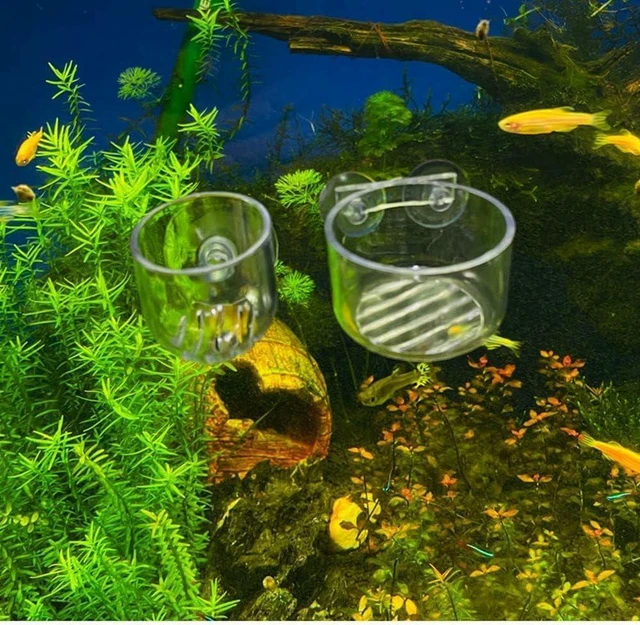 Alt view image 4 of 7 - 2Pcs Aquarium Plant Pot, Glass Fish Tank Plants Holder Aquarium Planter, Aquarium Decoration Plants Cup with Suction Cups for Fish Tank Ornament Aquarium Décor Plastic Plants, Small, Transparent