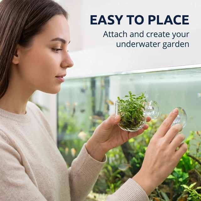 Alt view image 5 of 7 - 2Pcs Aquarium Plant Pot, Glass Fish Tank Plants Holder Aquarium Planter, Aquarium Decoration Plants Cup with Suction Cups for Fish Tank Ornament Aquarium Décor Plastic Plants, Small, Transparent