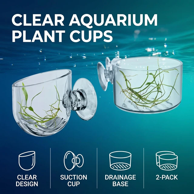 Alt view image 6 of 7 - 2Pcs Aquarium Plant Pot, Glass Fish Tank Plants Holder Aquarium Planter, Aquarium Decoration Plants Cup with Suction Cups for Fish Tank Ornament Aquarium Décor Plastic Plants, Small, Transparent