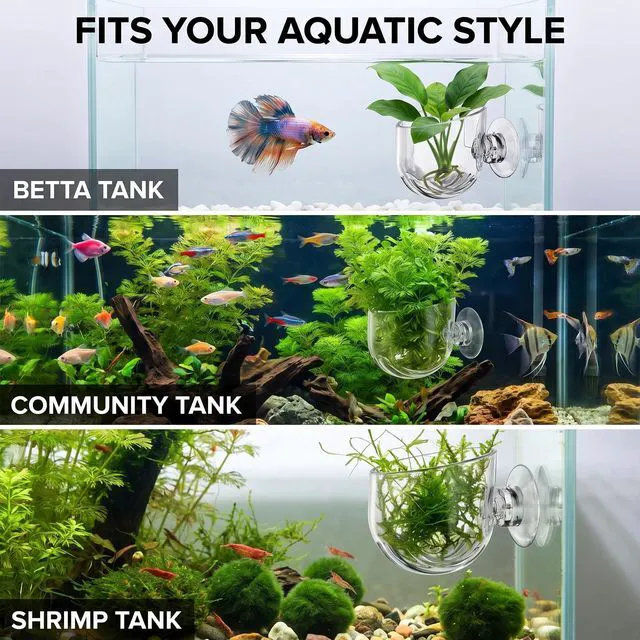 Alt view image 7 of 7 - 2Pcs Aquarium Plant Pot, Glass Fish Tank Plants Holder Aquarium Planter, Aquarium Decoration Plants Cup with Suction Cups for Fish Tank Ornament Aquarium Décor Plastic Plants, Small, Transparent