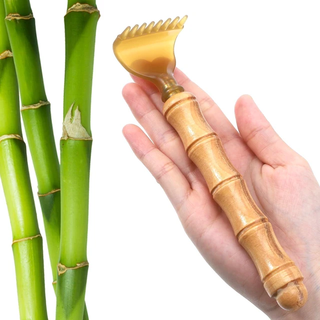Main image of JJUNW Extendable Bamboo Backscratcher, Wooden Back Extendable Backscratcher | Classic Portable Stainless steel Bamboo Back for Men Women Body Scratcher for Adults
