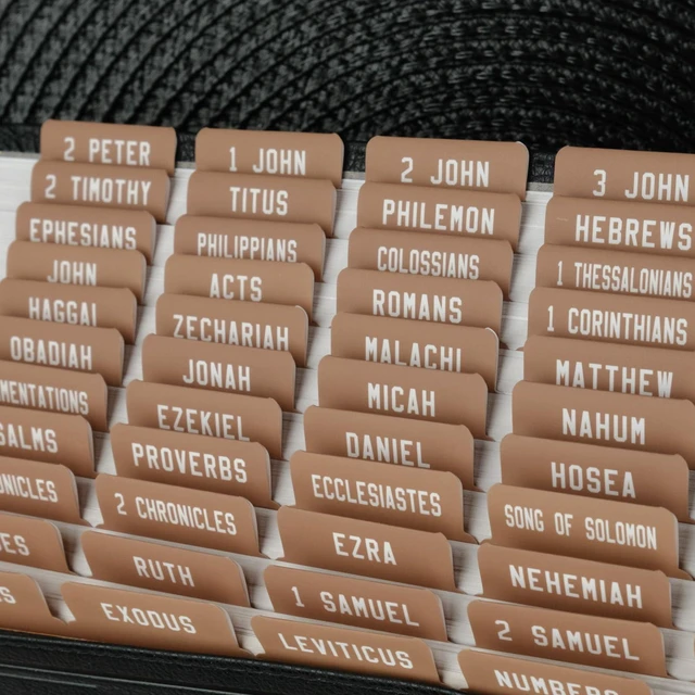 Alt view image 2 of 7 - UPAFEXXI-Laminated Bible Tabs, Bible Tabs for Women and Men | Reposition Large Print Stickers, Easy to Read and Apply, 80Chapters Labels for Easy Navigation(Mocha Mousse)
