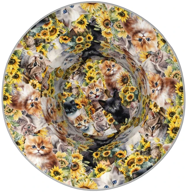 Alt view image 3 of 7 - Cat Bucket Hat Packable Reversible Cap with Dog for Womens Gifts | Dogs Bucket Hat for Women Packable Reversible Summer Hats Fisherman Cap with Cats on it Outdoor Travel Beach Cap