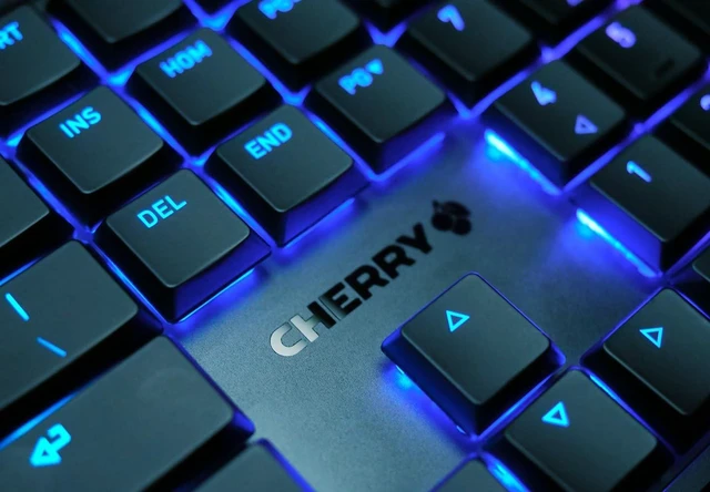 Alt view image 9 of 10 - Cherry MX 10.0N RGB Mechanical Keyboard MX Low Profile Speed switches, Aluminum housing, Premium Keyboard for Gaming and Work. G8A-25010LVBUS-2