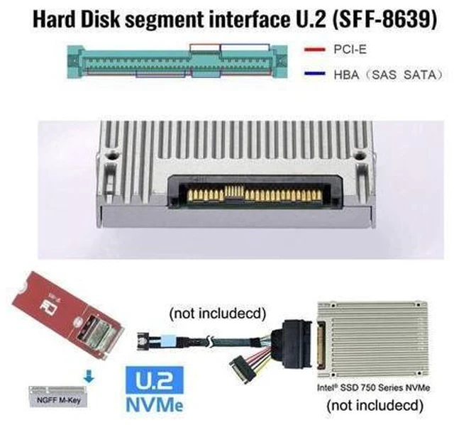 Alt view image 14 of 14 - PCI-E 5.0 4.0 M.2 M-key to MCIO Mini Cool Edge IO Female Host Adapter for PCIe Nvme SSD 2280 2230 SF-015