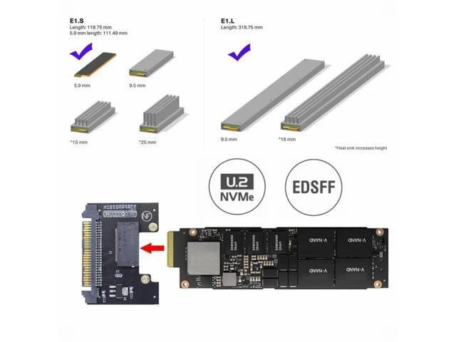 Alt view image 9 of 14 - U.2 SFF-8639 Host Adapter to NVMe Ruler 1U GEN-Z EDSFF 1C 4X Short SSD P4511 E1.S Carrier Adapter SF-072-1C
