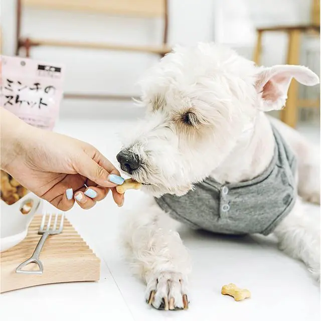 Alt view image 3 of 7 - Dog treats Cutters Set 6 Pieces Dog Cookie Cutter sets Different Sizes Mini Small Medium Big Cut Out for Homemade Treats and Baking