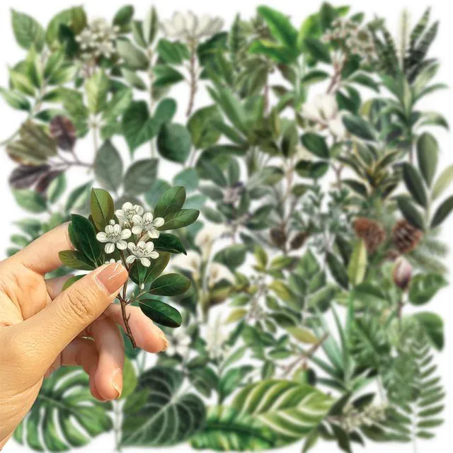 Alt view image 2 of 7 - Green Leaf Plants Aesthetic Scrapbook Waterproof Transparent Stickers 50PCS | Nature Leaves Flowers Stickers Pack for Water Bottle, Laptop, Journal, Vases Decorative, Floral Decals for Kids Teens Adul