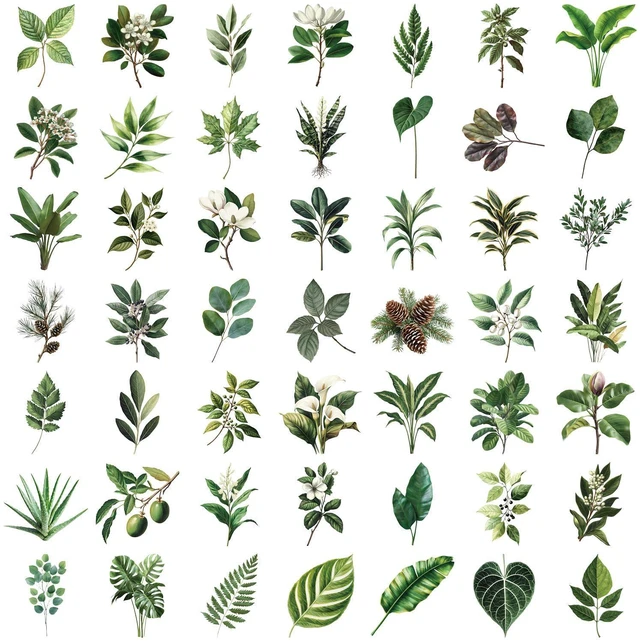 Alt view image 6 of 7 - Green Leaf Plants Aesthetic Scrapbook Waterproof Transparent Stickers 50PCS | Nature Leaves Flowers Stickers Pack for Water Bottle, Laptop, Journal, Vases Decorative, Floral Decals for Kids Teens Adul