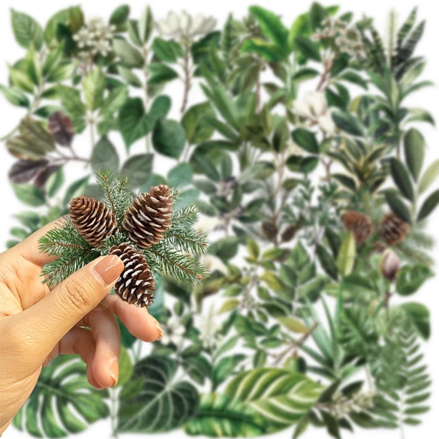 Alt view image 7 of 7 - Green Leaf Plants Aesthetic Scrapbook Waterproof Transparent Stickers 50PCS | Nature Leaves Flowers Stickers Pack for Water Bottle, Laptop, Journal, Vases Decorative, Floral Decals for Kids Teens Adul