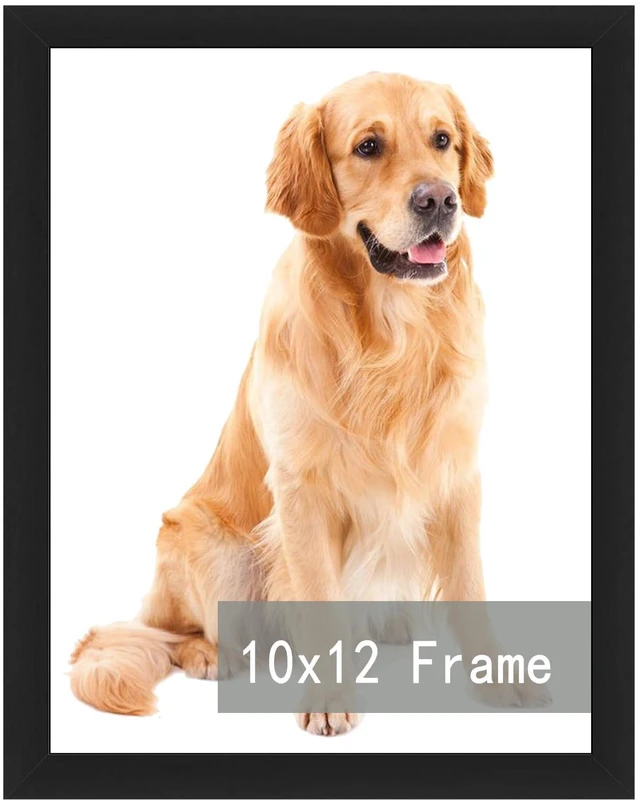 Main image of RUN HELIX 10x12 Picture Frames, Photos Frame with Plexiglass, Wall Gallery Photo Frames, Horizontal and Vertical for Wall Mounting, Home Office Decoration,Black