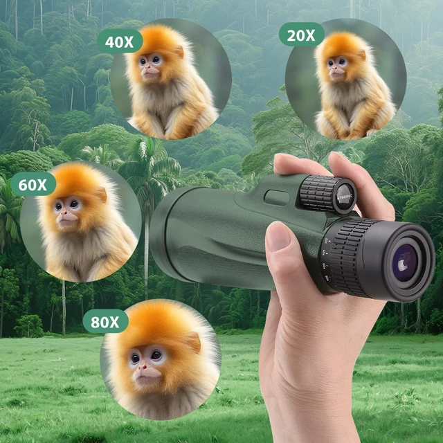 Alt view image 3 of 7 - Monocular Telescope 80x100 Wide Field HD Monoculars for Adults with Tripod & Phone Adapter Perfect for Bird Watching Hiking & Outdoor Activities -Green