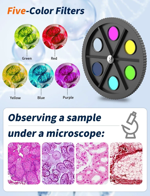Alt view image 5 of 7 - Microscope for Adults,WF10x/25x Eyepieces,40x2000x Magnification,Up/Down LED,Comes with a Free Experiment Kit & Phone Adapter.Suitable for Students Home and School Lab