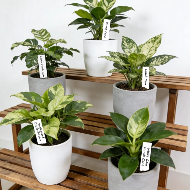Alt view image 3 of 7 - Plant Labels,Plastic Plant Tags 4 Inch,200 Pcs Nursery Garden Labels Plants Markers for Outdoor Garden Waterproof,Plants Name Tags White with Marking Pen