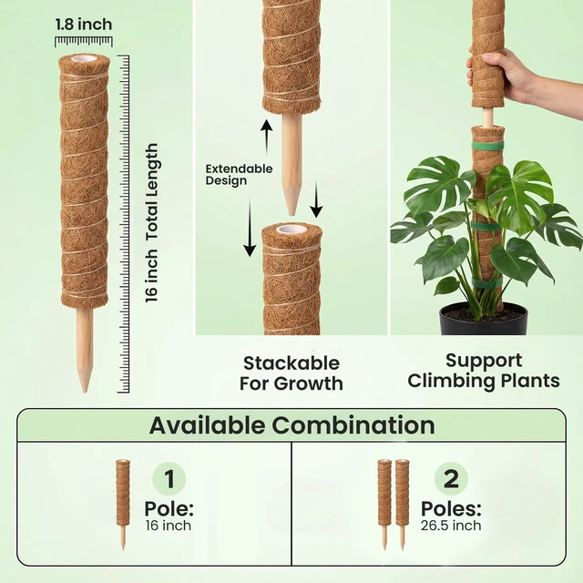 Alt view image 3 of 7 - 2 Pack 16" Moss Pole Monstera Plant Support - Stackable up to 26.5" | Plant Stakes for Indoor Climbing Plants Potted - Tall Coco Coir Pole Sticks & Accessories for Monstera, Pothos & Philodendron