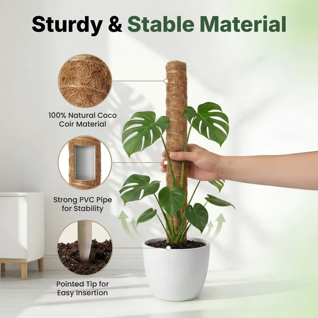 Alt view image 4 of 7 - 2 Pack 16" Moss Pole Monstera Plant Support - Stackable up to 26.5" | Plant Stakes for Indoor Climbing Plants Potted - Tall Coco Coir Pole Sticks & Accessories for Monstera, Pothos & Philodendron