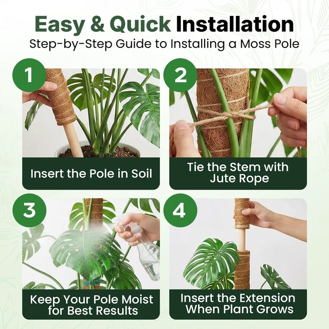 Alt view image 5 of 7 - 2 Pack 16" Moss Pole Monstera Plant Support - Stackable up to 26.5" | Plant Stakes for Indoor Climbing Plants Potted - Tall Coco Coir Pole Sticks & Accessories for Monstera, Pothos & Philodendron