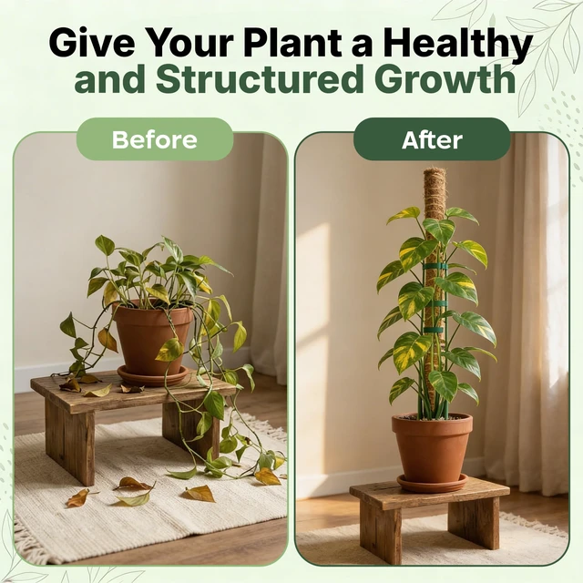 Alt view image 6 of 7 - 2 Pack 16" Moss Pole Monstera Plant Support - Stackable up to 26.5" | Plant Stakes for Indoor Climbing Plants Potted - Tall Coco Coir Pole Sticks & Accessories for Monstera, Pothos & Philodendron