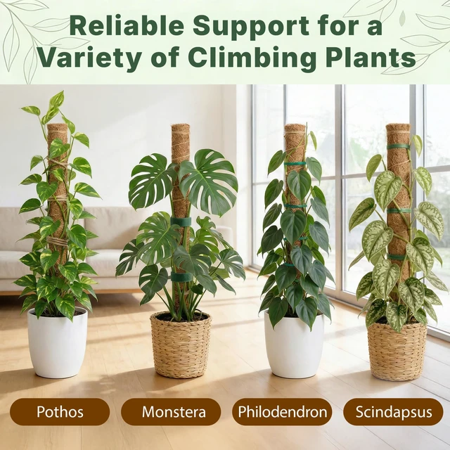 Alt view image 7 of 7 - 2 Pack 16" Moss Pole Monstera Plant Support - Stackable up to 26.5" | Plant Stakes for Indoor Climbing Plants Potted - Tall Coco Coir Pole Sticks & Accessories for Monstera, Pothos & Philodendron