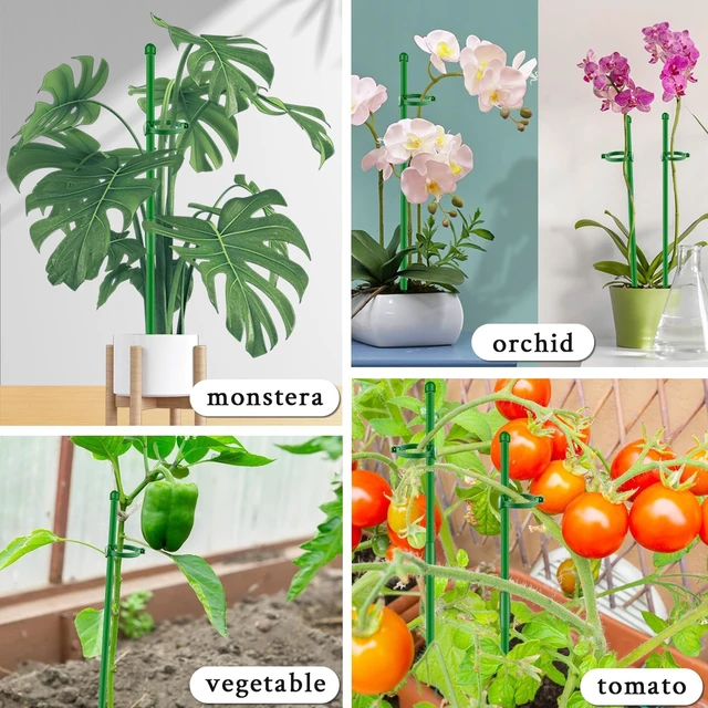 Alt view image 6 of 7 - Plant Stakes 17inch &11inch Adjustable Length Plant Support Stake 16Pcs Orchid Stick with Clips for Indoor Outdoor,Garden Pole for Potted Tomato Amaryllis Vegetables Comes with 20 Ties (Green)