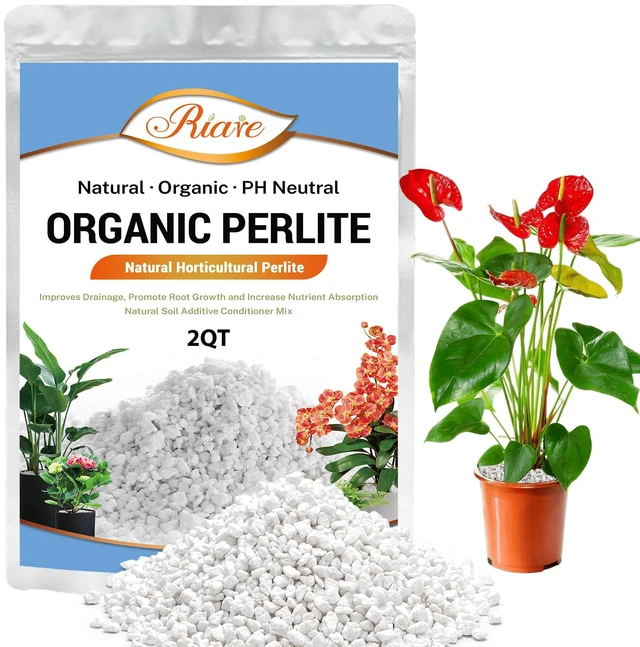 Main image of Organic Perlite for Plants, Horticultural Perlite Soil Amendment | Drainage & Aeration, Coarse Perlite Potting Mix for Succulents, Cacti, Orchids, Hydroponics, Propagation & Carnivorous