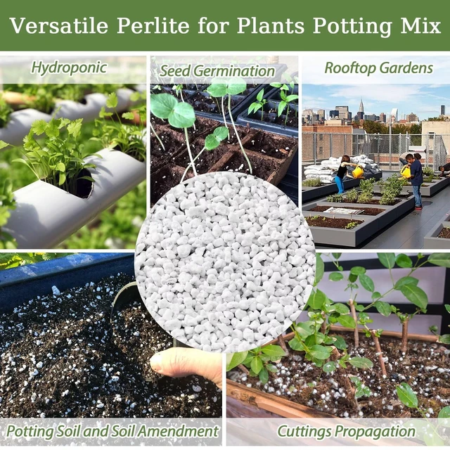 Alt view image 7 of 7 - Organic Perlite for Plants, Horticultural Perlite Soil Amendment | Drainage & Aeration, Coarse Perlite Potting Mix for Succulents, Cacti, Orchids, Hydroponics, Propagation & Carnivorous