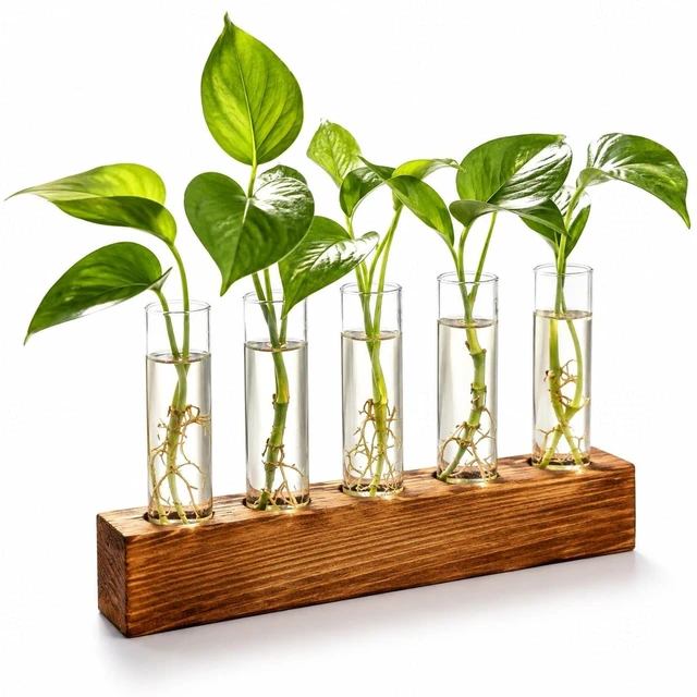 Main image of Plant Propagation Station, Plant Terrarium with Wooden Stand | Plants Pots for Hydroponics, Small Birthday Gardening Gifts for Women Mom Plants Lovers Unique - 5 Glass Test Tubes Vases