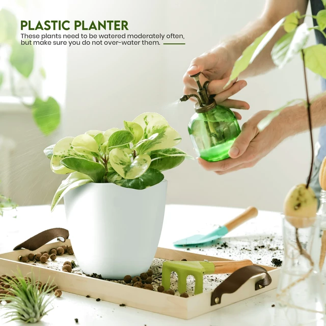 Alt view image 5 of 7 - Plant Pots Indoor with Drainage, 5 Pack Multi-Size Planters Set, White | Drainage holes included Multiple sizes 7/6.6/6/5.3/4.8 In Indoor plants and flowers Durable plastic construction