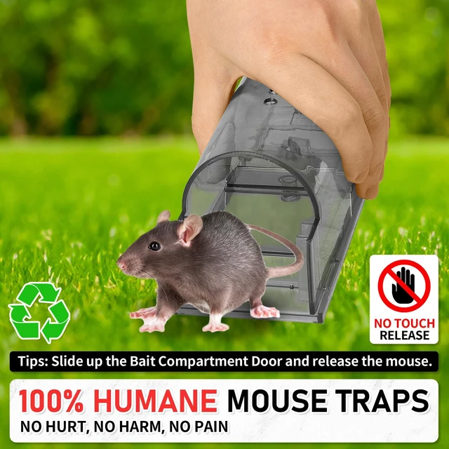 Alt view image 4 of 7 - Humane Mouse Traps 2 Pack | Live No Touch Catch and Release No Kill Rodent Traps | Reusable with Cleaning Brush | Pet Safe Indoor Outdoor for Mice, Rats, Chipmunks, Voles, Grey