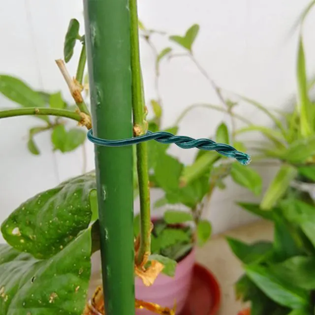 Alt view image 4 of 6 - Green Garden Wire 2mm- 100 Feet Garden Plant Ties Plant Wire for Climbing Plants Plants Twist Ties for Tomatoes Support Vines Vegetables Flowers Indoor & Outdoor Gardening Training