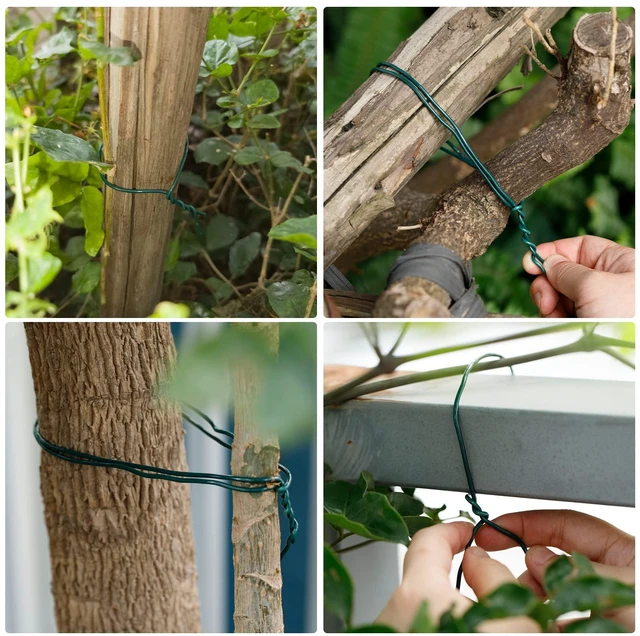 Alt view image 5 of 6 - Green Garden Wire 2mm- 100 Feet Garden Plant Ties Plant Wire for Climbing Plants Plants Twist Ties for Tomatoes Support Vines Vegetables Flowers Indoor & Outdoor Gardening Training