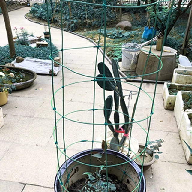 Alt view image 6 of 6 - Green Garden Wire 2mm- 100 Feet Garden Plant Ties Plant Wire for Climbing Plants Plants Twist Ties for Tomatoes Support Vines Vegetables Flowers Indoor & Outdoor Gardening Training