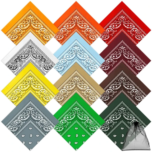 Main image of 12 Pack Novelty Bandanas Paisley Print Cowboy Bandana Handkerchiefs, Assorted Colors