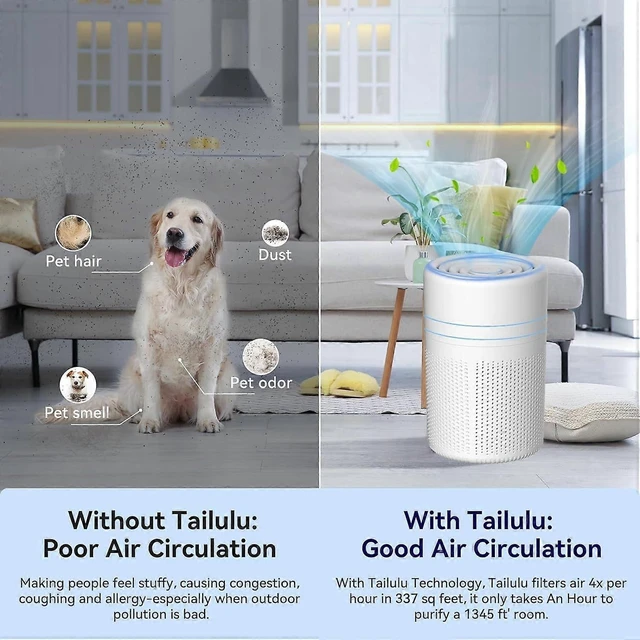 Alt view image 9 of 10 - Ecocleanpath White H13 HEPA Air Purifier for Home & Bedroom, 24dB Ultra Quiet, Pet Odor Eliminator