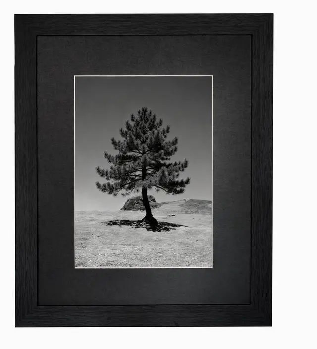 Main image of 8x10 Picture Frame, Solid Wood Picture Frames With Plexiglass, Display 5x7 with Mat or 8x10 Without Mat, Tabletop and Wall Display Photo Frame, 1 Pack, Black